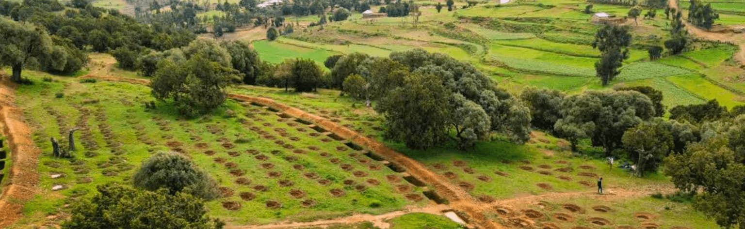 image of a field