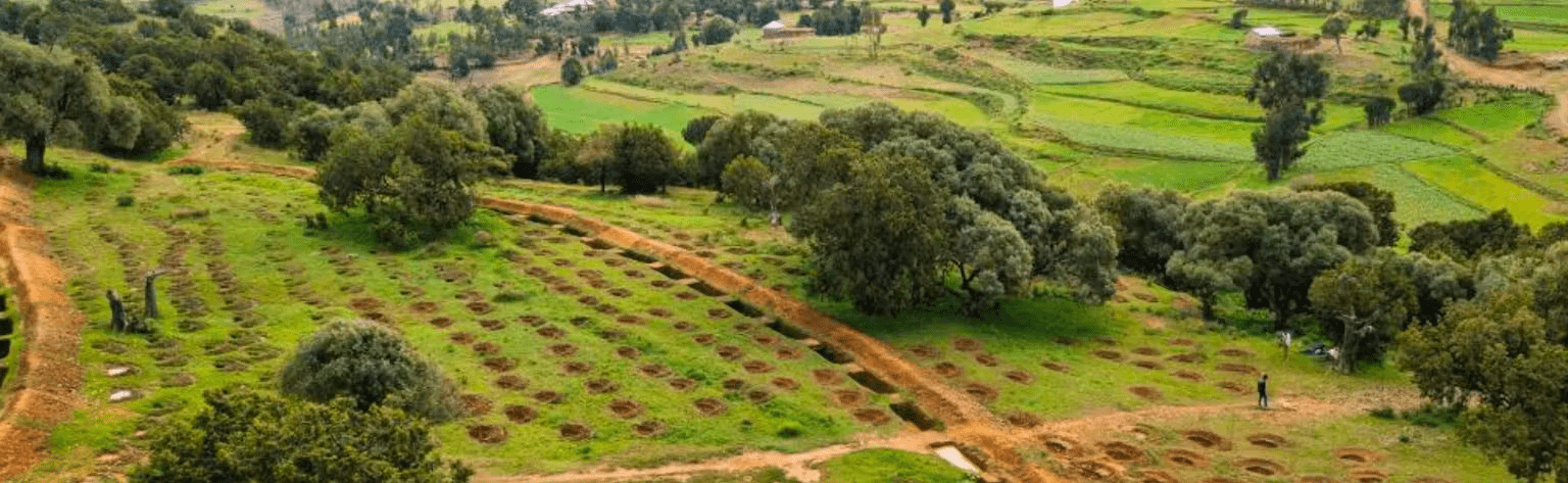 image of a field